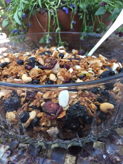 blueberrygranola3
